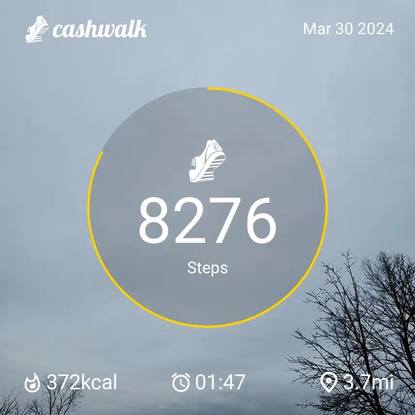 1000012518.jpg_resize