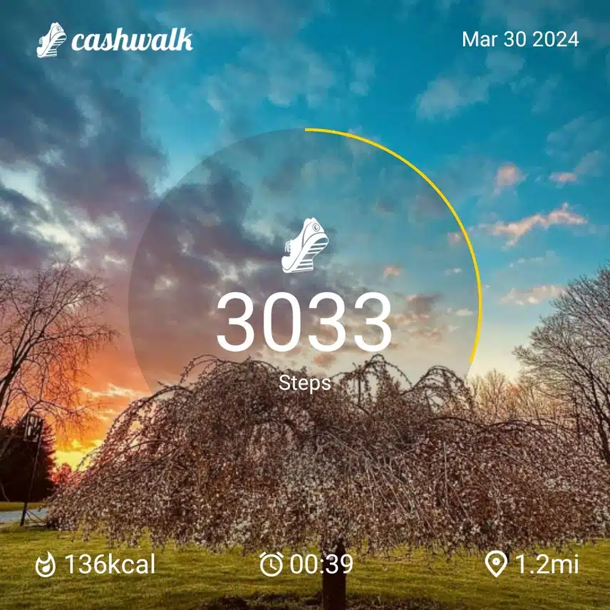 CashWalk_share_capture_20240330_30fc9ff2-dc8d-447a-9e77-3a7e0876