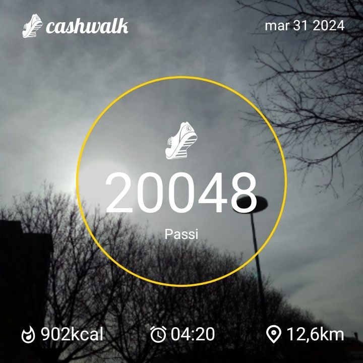 CashWalk_share_capture_20240331_1c1495f0-34ce-4b53-ad76-f6a4c35d