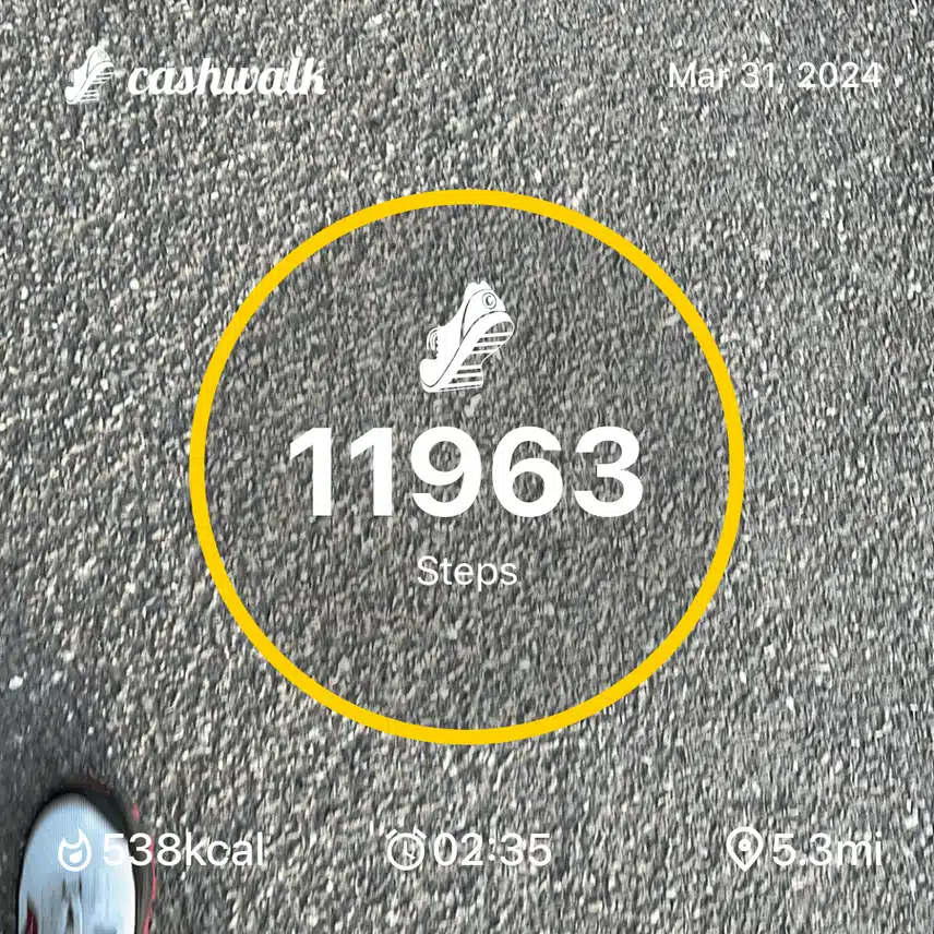 10k-11-3:31.png_resize