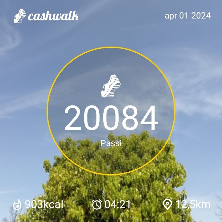 CashWalk_share_capture_20240401_7cd0ce9a-10d7-4e65-8c64-f8d30bc0