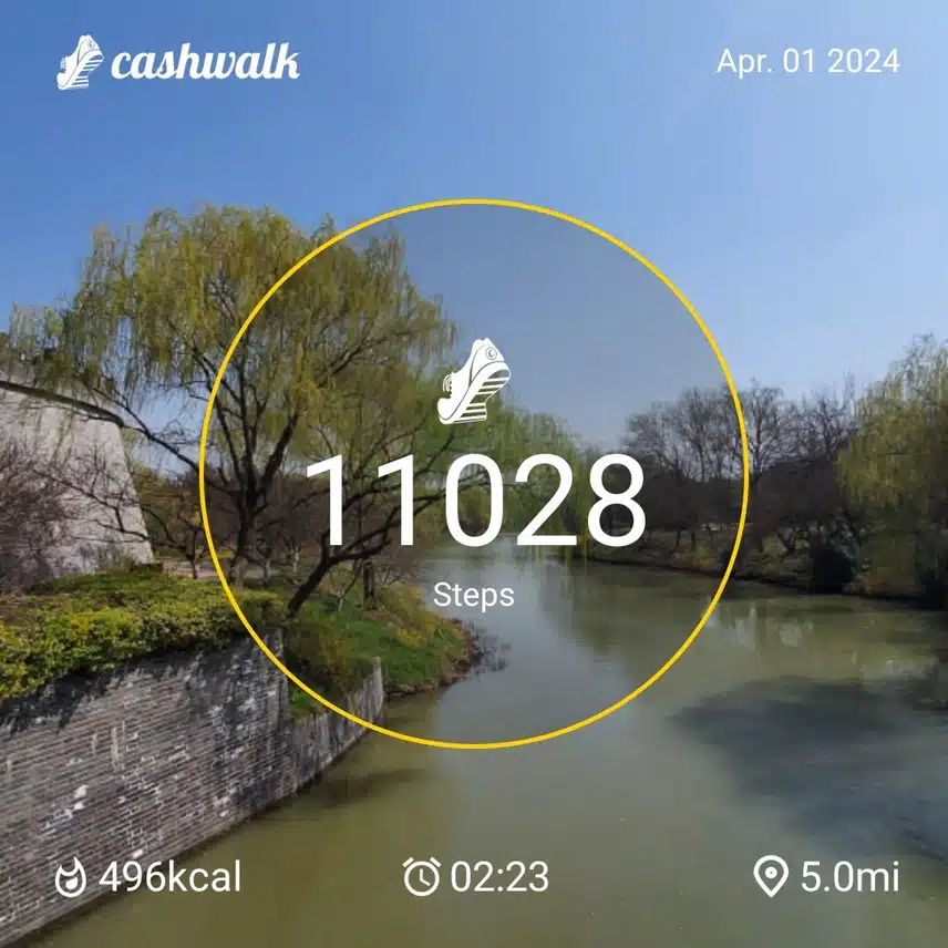 1000121386.jpg_resize