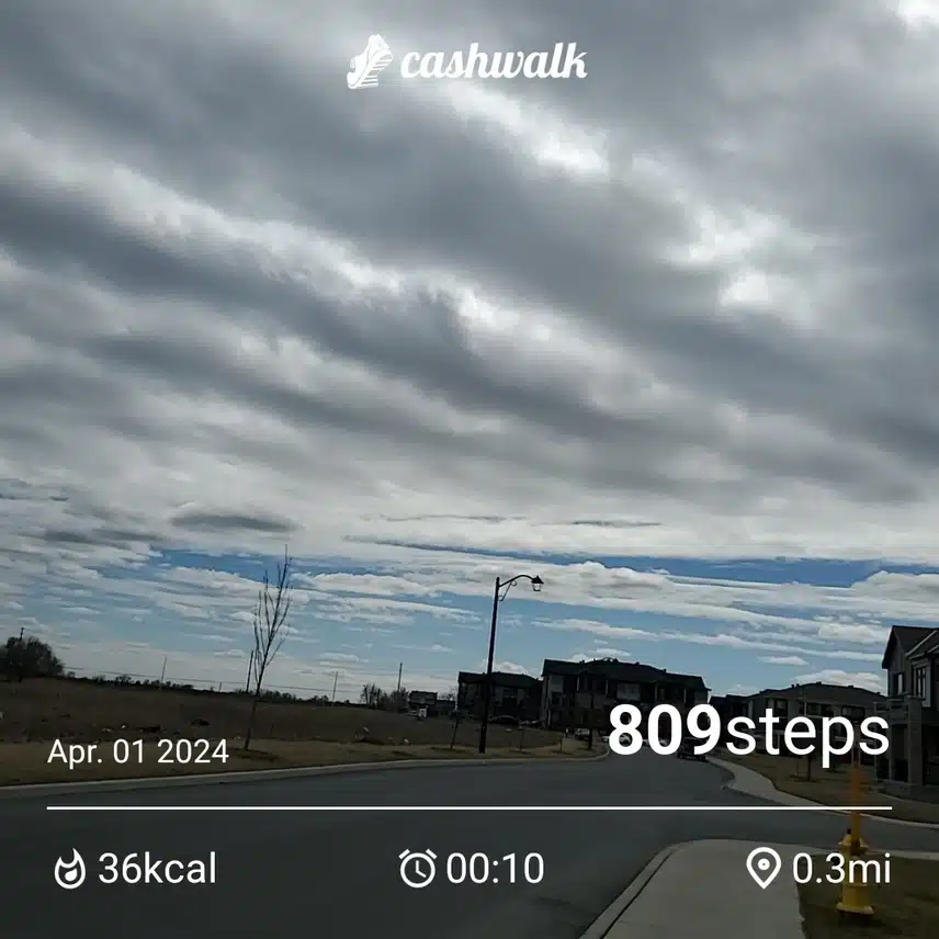 CashWalk_share_capture_20240401_78bbaa40-1c0e-4f74-ab3b-c6839e09
