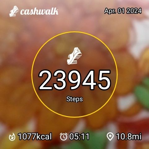 CashWalk_share_capture_20240401_c988973f-b3ce-4afd-8b3b-7a4cdf5e