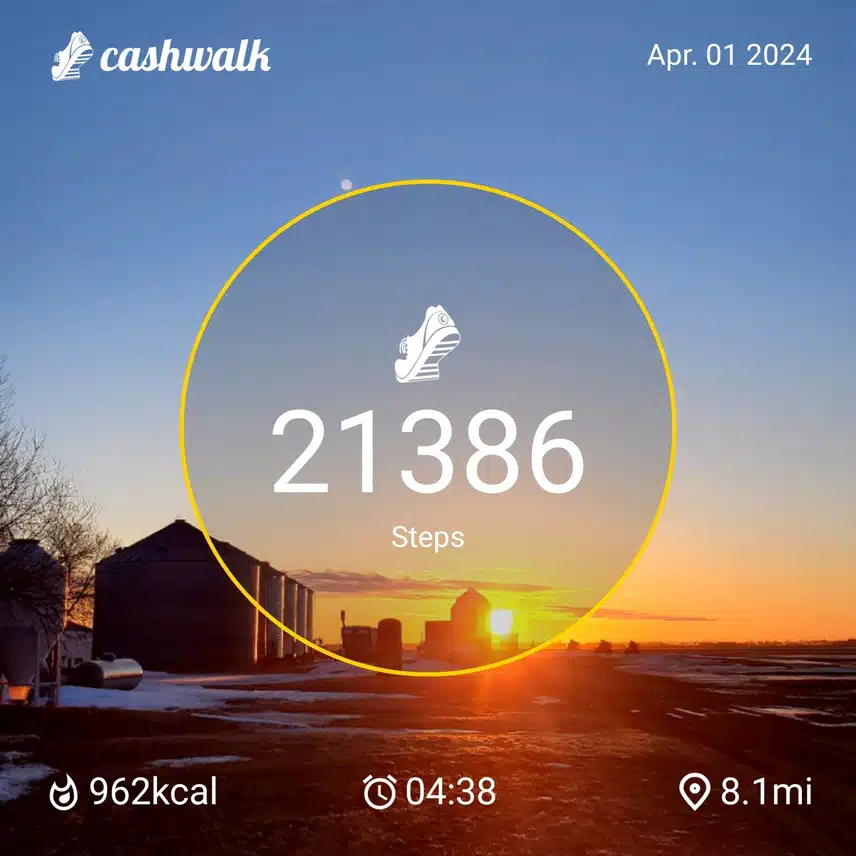 CashWalk_share_capture_20240401_cc3bd0c4-f4d8-4ca5-95aa-6ea255bf