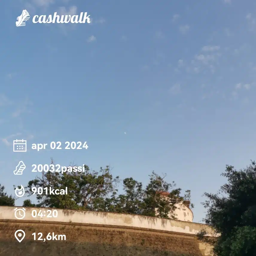 CashWalk_share_capture_20240402_83474519-7027-450d-9ab0-4f329f02