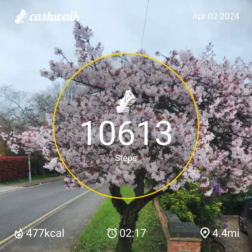 CashWalk_share_capture_20240402_23d4e74a-47db-4987-9d23-99441ac2