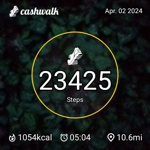 CashWalk_share_capture_20240402_2559b0c9-9877-42d4-977d-f0c9619f