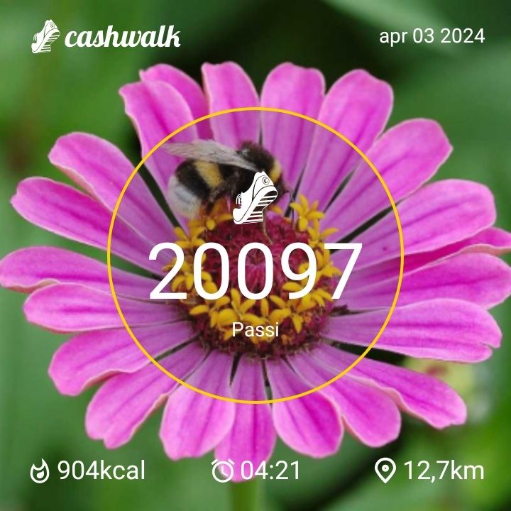 CashWalk_share_capture_20240403_b46a4ecd-c2c2-4334-9708-beabb191
