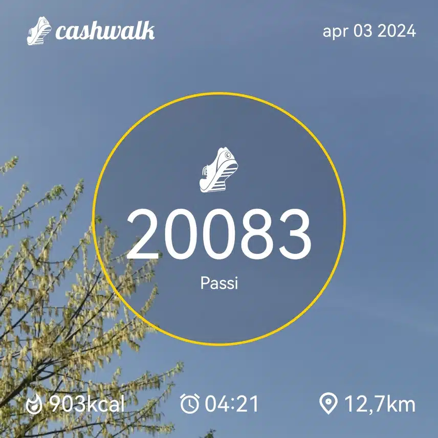 CashWalk_share_capture_20240403_3c3534c8-942c-4735-9132-d806f5fe