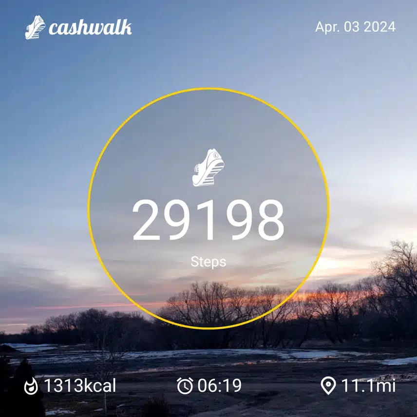 CashWalk_share_capture_20240403_707ccf62-2232-4fc1-9efb-ff5654b1