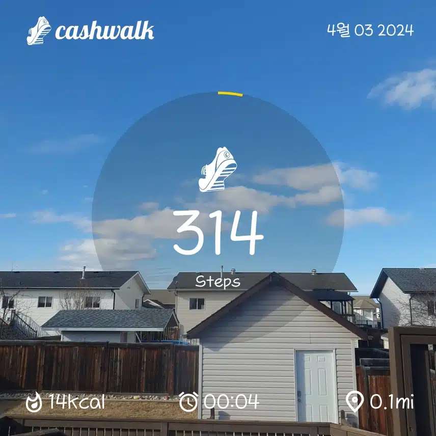CashWalk_share_capture_20240403_681a26a0-496e-4e42-9da1-51a76464