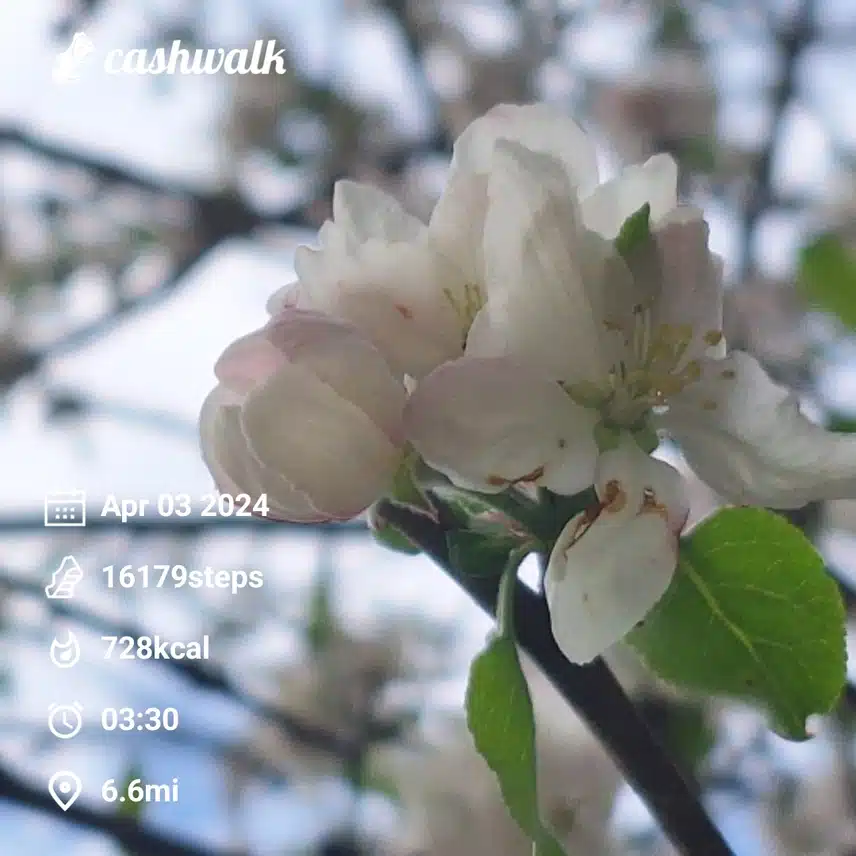1000007483.jpg_resize