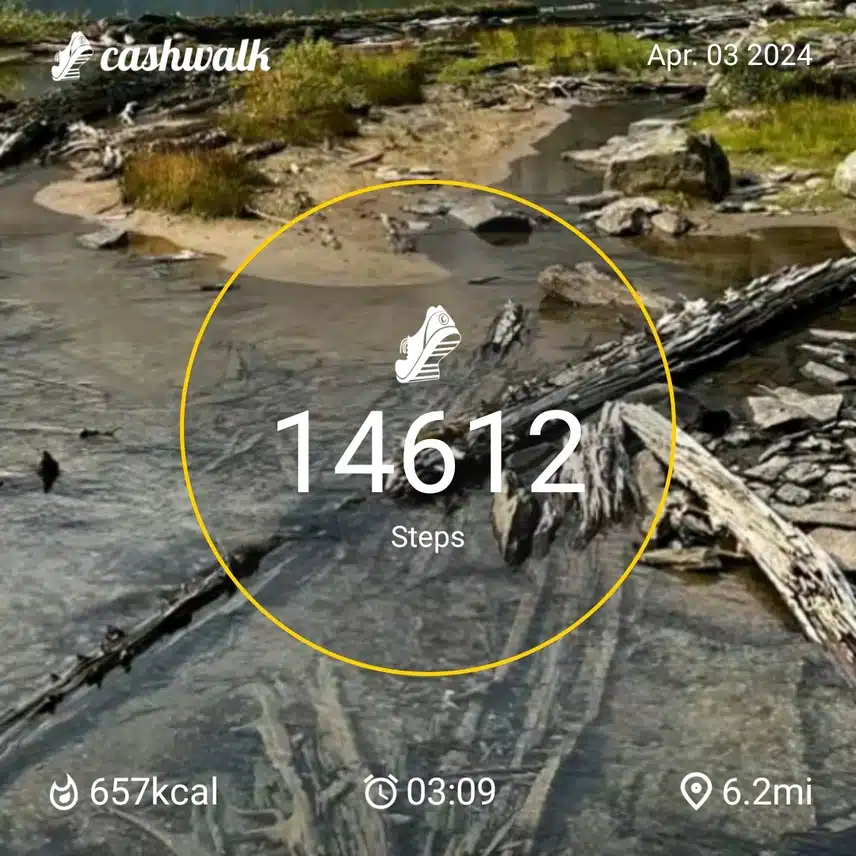 CashWalk_share_capture_20240403_e88bcb10-f046-45fc-84bc-ae5a1e17