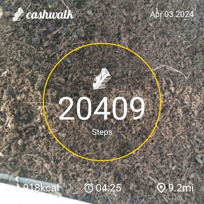 CashWalk_share_capture_20240403_2b2cc508-49dc-48d8-a1b4-2e3eb558