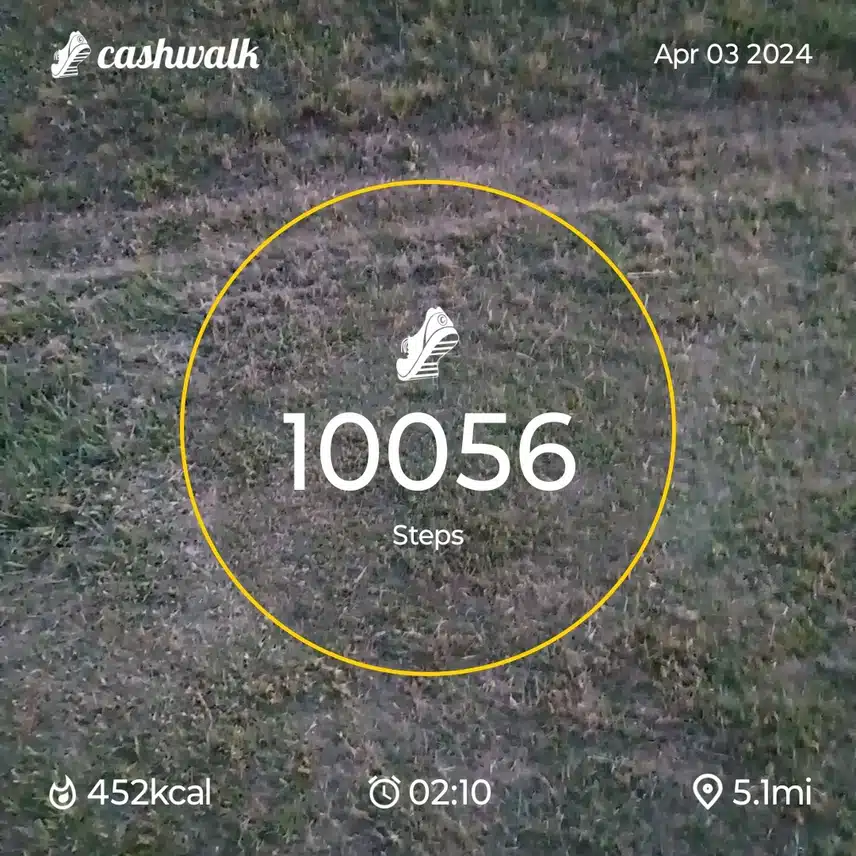 CashWalk_share_capture_20240403_48797dd6-1575-46cc-a98a-3c274959