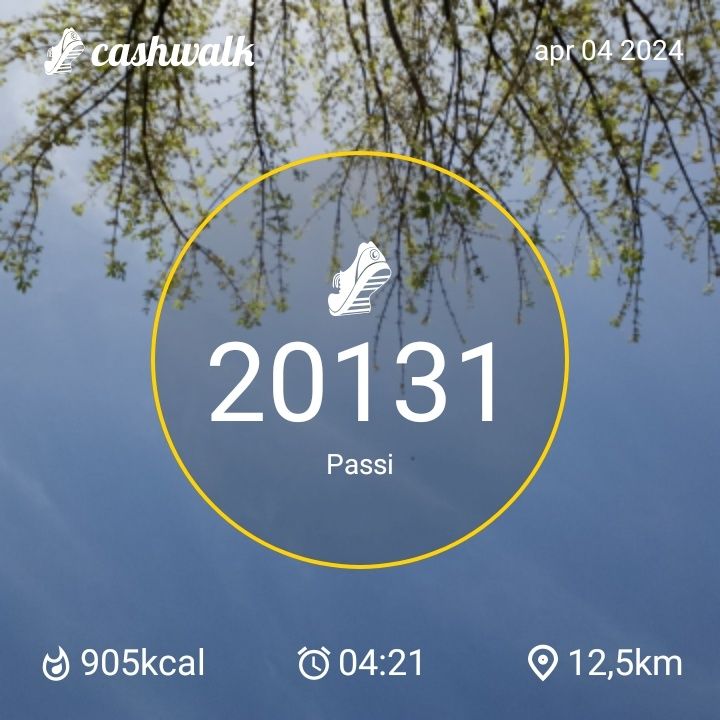CashWalk_share_capture_20240404_9aa97222-b443-4bfe-8ed0-b33625b6