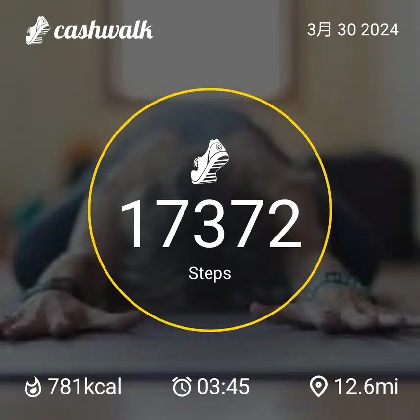 CashWalk_share_capture_20240330_c6befeb7-d3b1-44ec-8749-a4fcc9bc