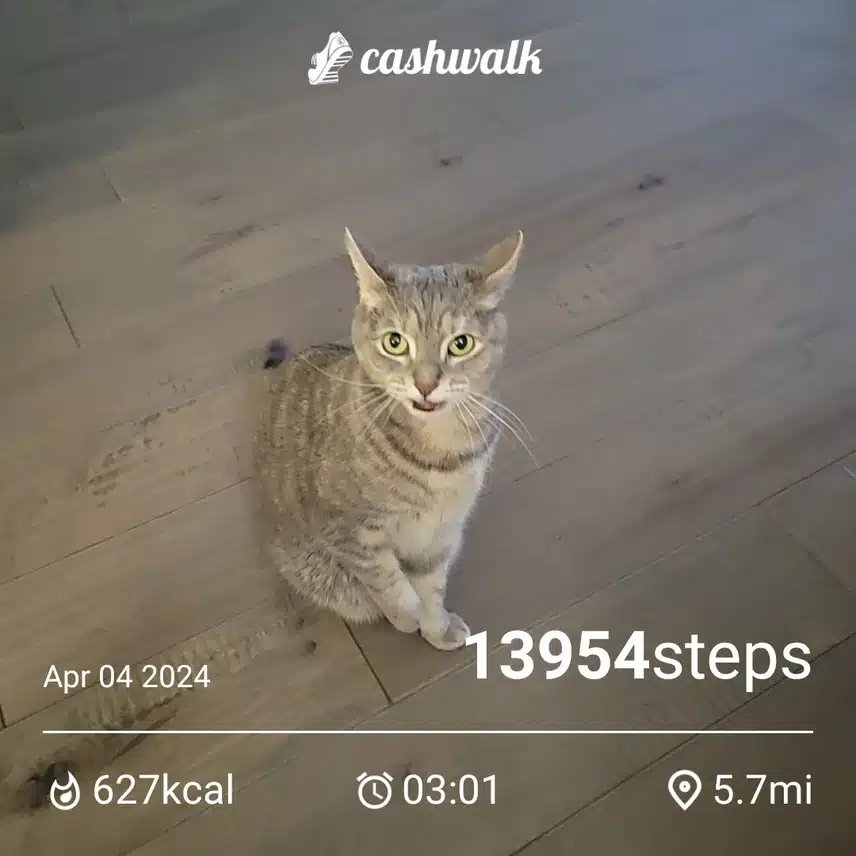 CashWalk_share_capture_20240404_b989f9f1-9eaa-40bd-9726-2d3dd4d6