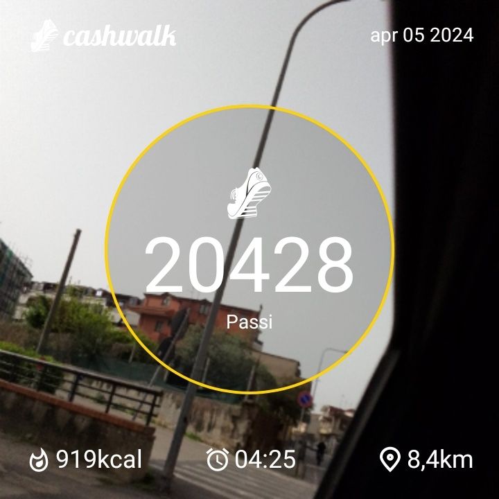 1000009451.jpg_resize
