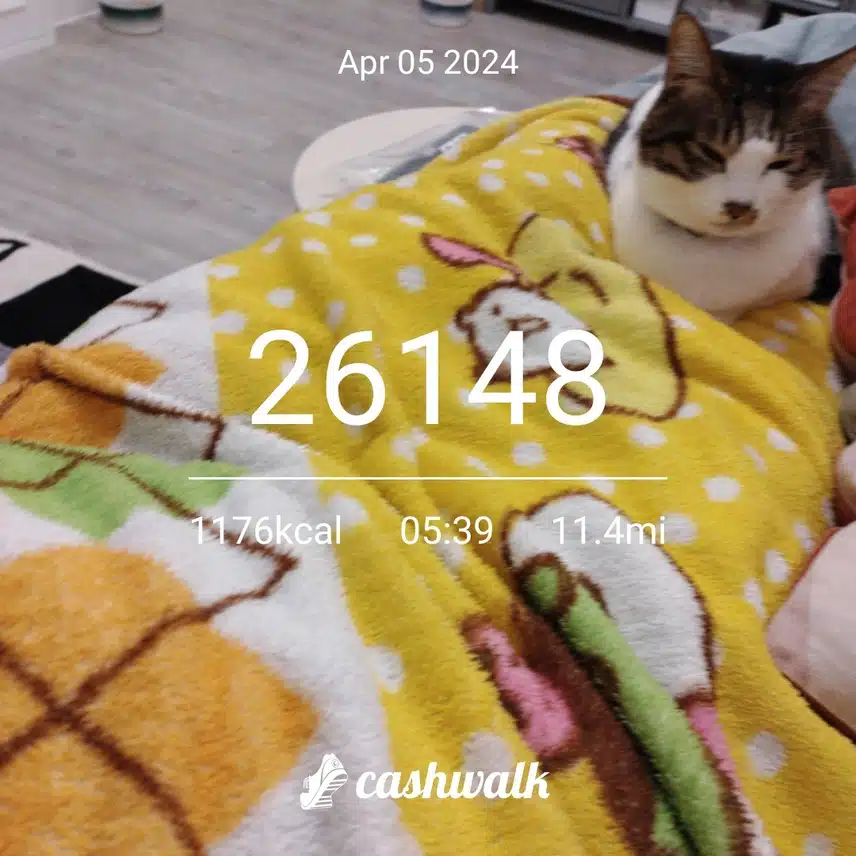 CashWalk_share_capture_20240405_9048e2d4-ecc6-4a3b-9f7f-8346d1db