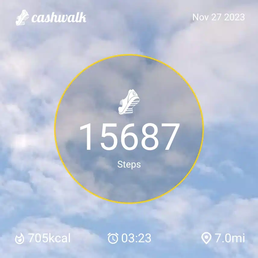 CashWalk_share_capture_20231127_3a140ae7-e3e6-49d1-8dc3-4b7dd744