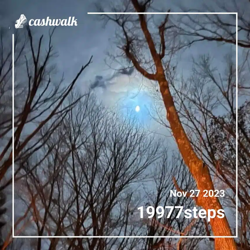 CashWalk_share_capture_20231127_25feae76-1f7c-4f45-9046-773e76b8