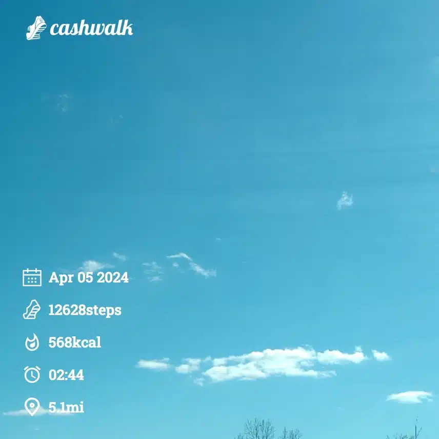 CashWalk_share_capture_20240405_78f48244-45fd-4988-9dd6-e87cb355