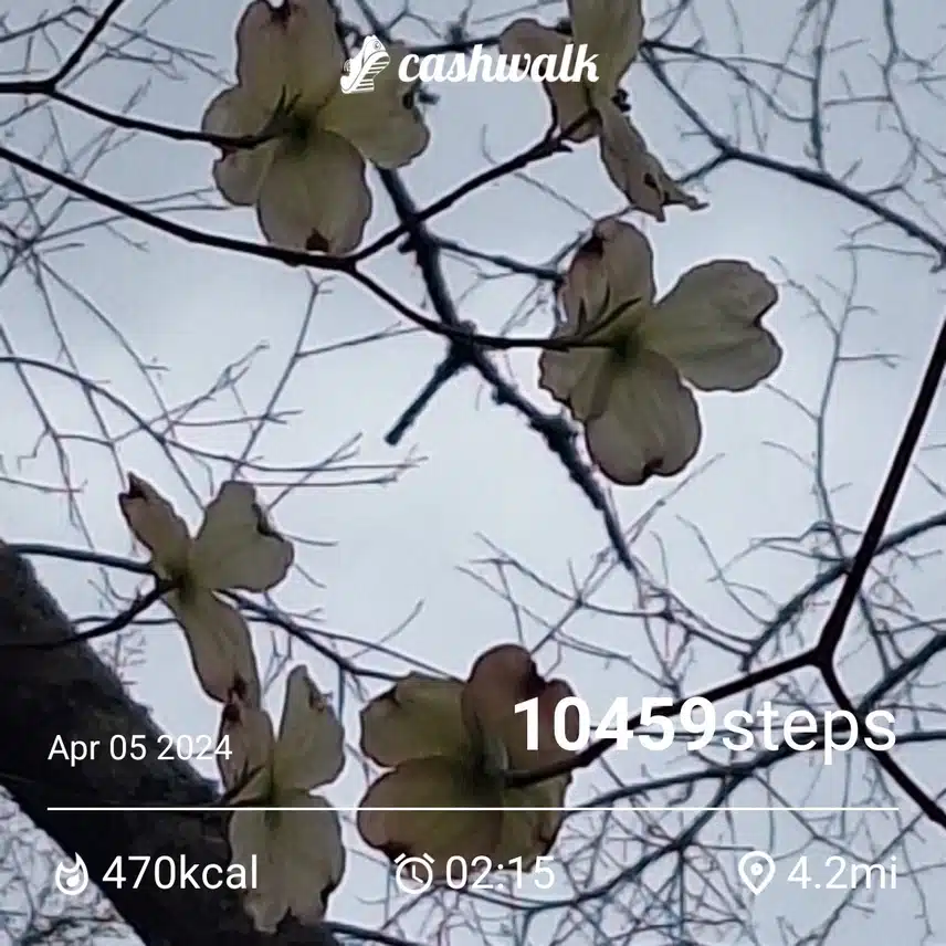 1000007579.jpg_resize