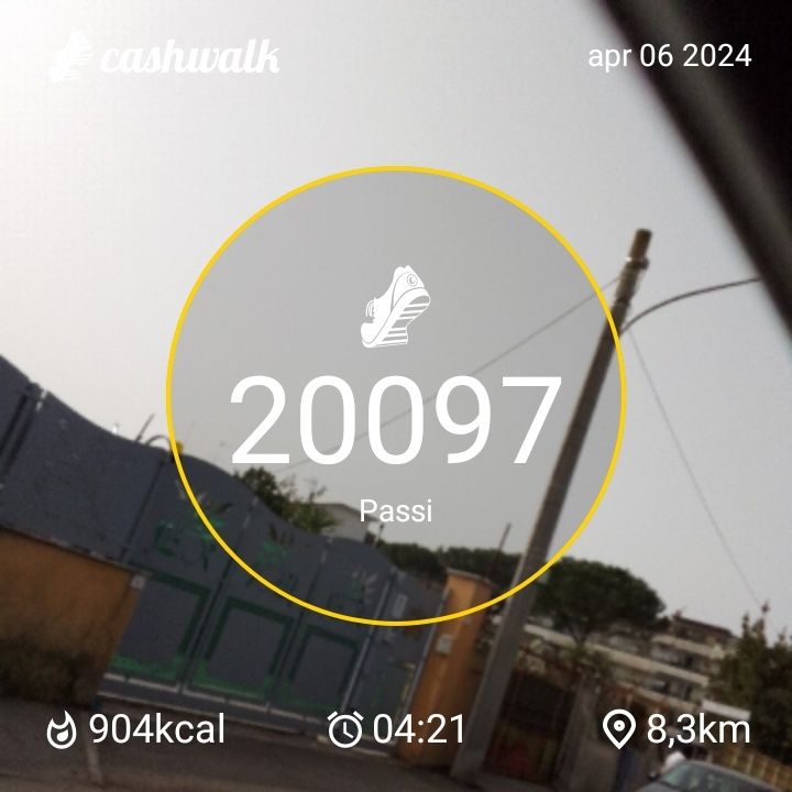 1000009521.jpg_resize