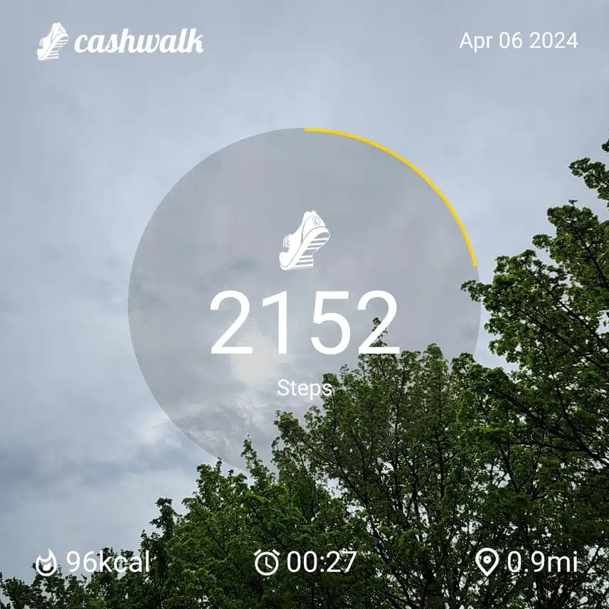 1000026115.jpg_resize