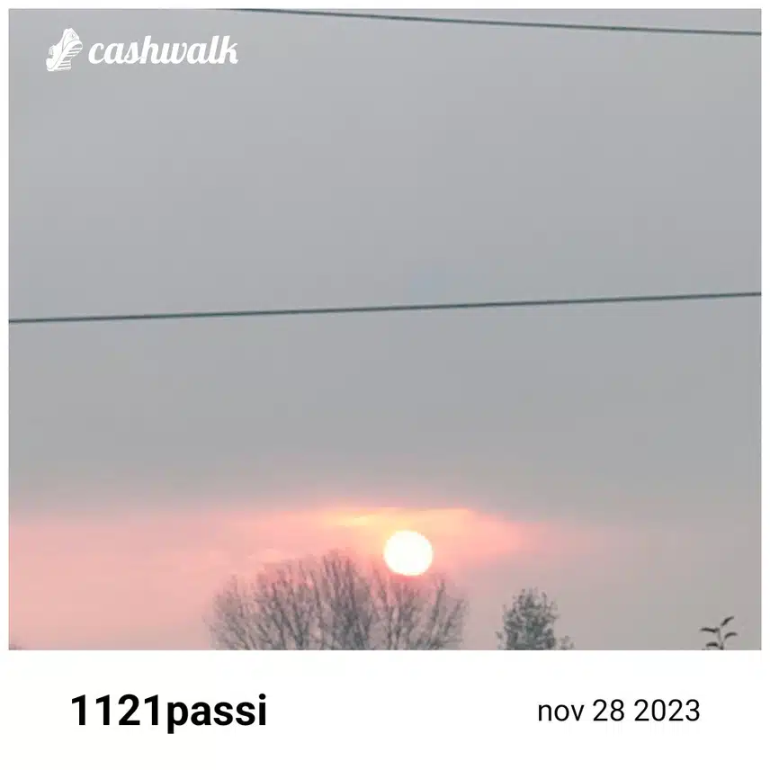 CashWalk_share_capture_20231128_38488965-4869-445c-873c-4dbda849