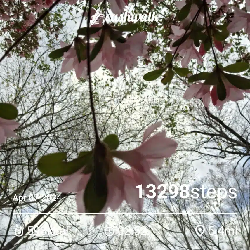 1000007717.jpg_resize
