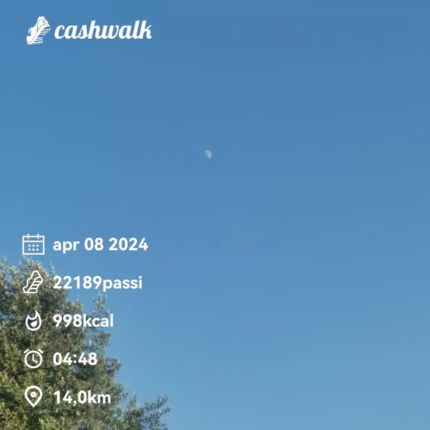 CashWalk_share_capture_20240408_7b3596a9-3ce1-4ff9-954e-c9994982