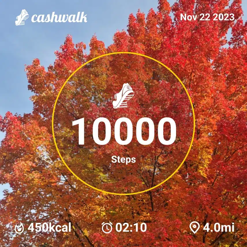 CashWalk_share_capture_20231122_a3108048-5703-4813-aa65-59ad0c60