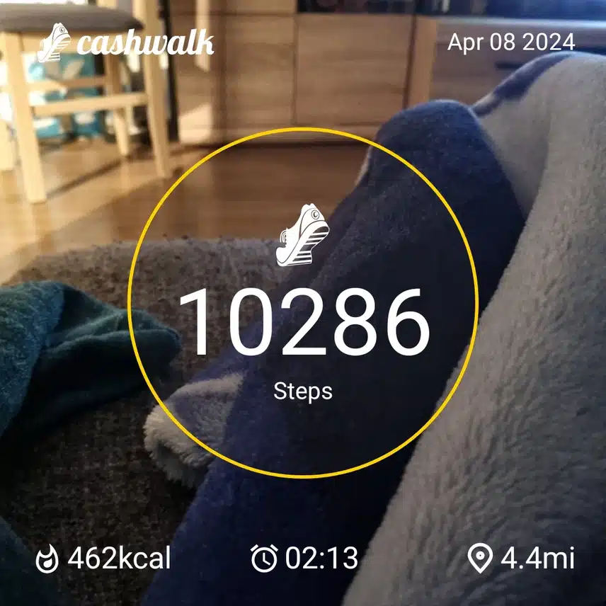 1000021227.jpg_resize