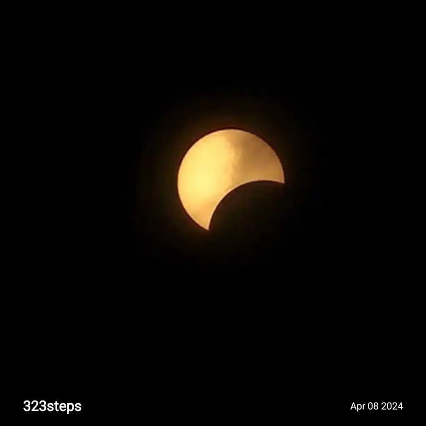1000051249.jpg_resize