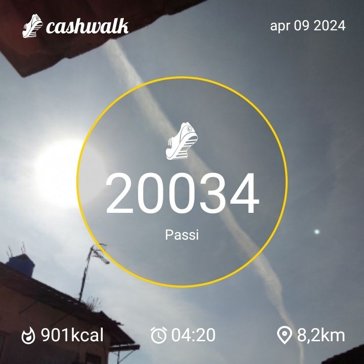 1000009714.jpg_resize