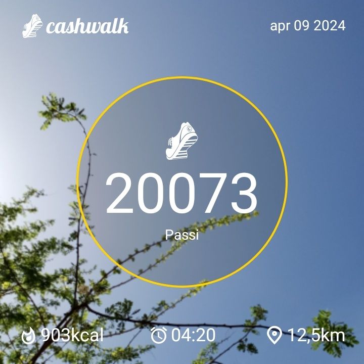CashWalk_share_capture_20240409_30077895-faa3-4df0-919f-30241797