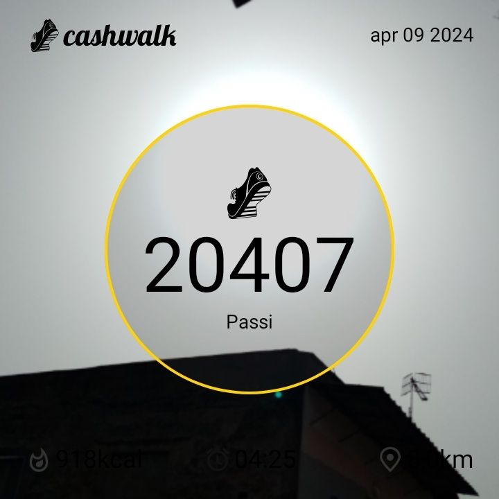CashWalk_share_capture_20240409_f2da2725-1d54-4f9c-b4f7-fef46c09