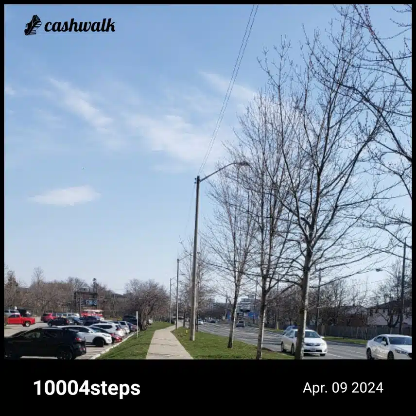 CashWalk_share_capture_20240409_4a6d424c-a663-49be-bb03-6dbe8bf4