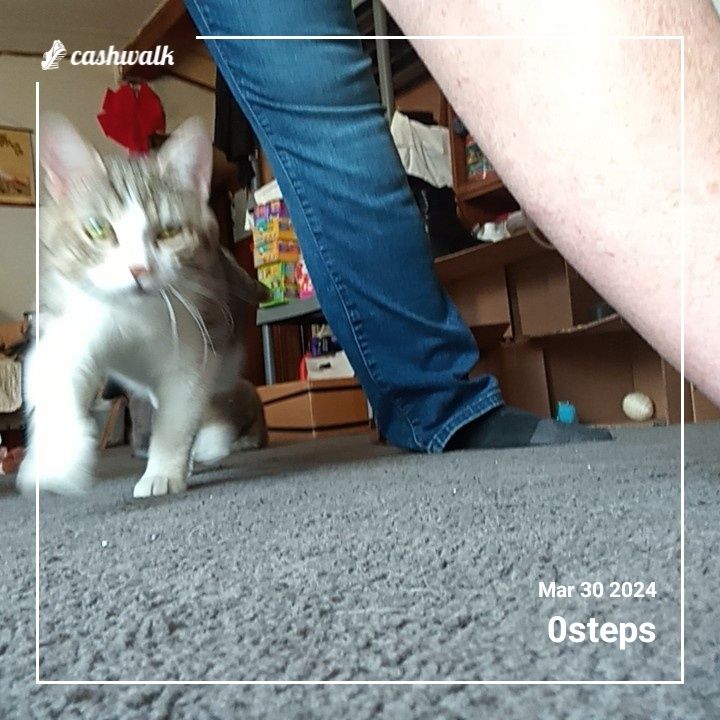 CashWalk_share_capture_20240330_b13b14d9-7aab-4f28-a96c-2337bd0a