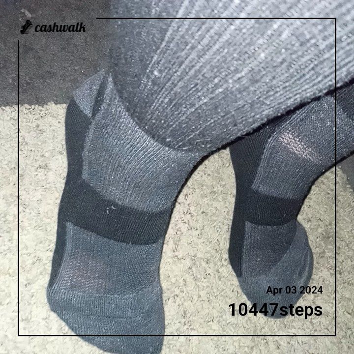 CashWalk_share_capture_20240403_3a3dae45-736a-4cca-98a7-49cfd82d