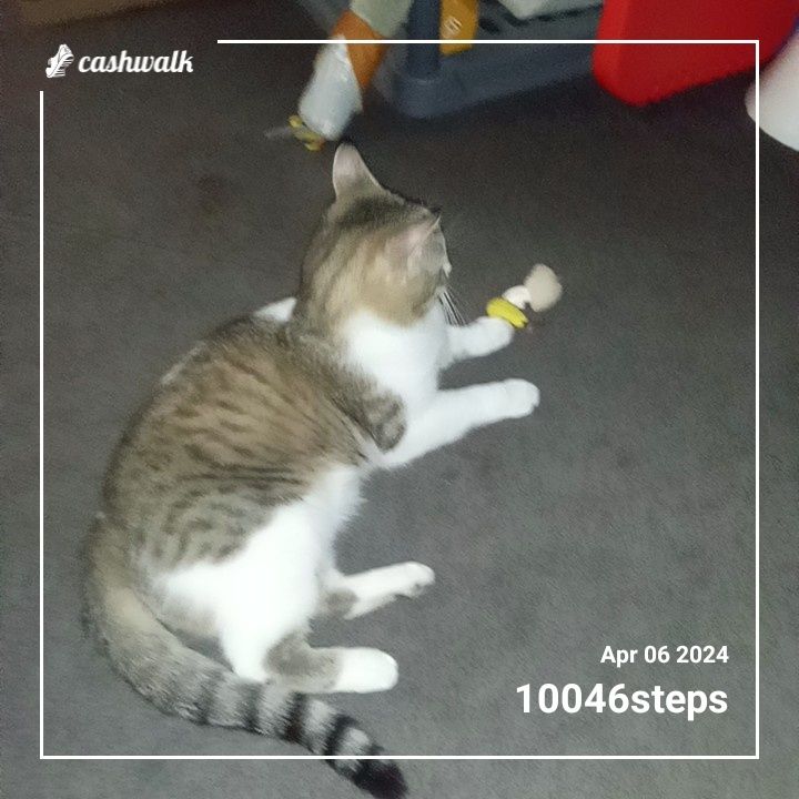 CashWalk_share_capture_20240406_3e2c73e8-a28b-4719-abf2-ae16238e
