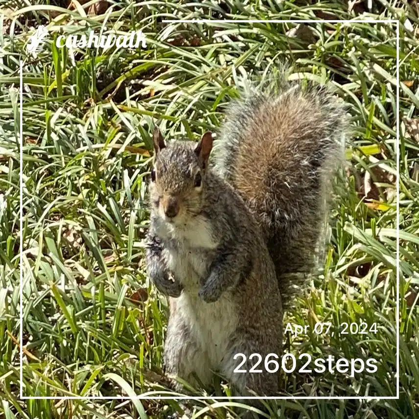IMG_0085.jpeg_resize