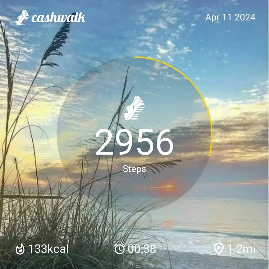 CashWalk_share_capture_20240411_e471bc85-5e33-4592-b7d1-c421e567