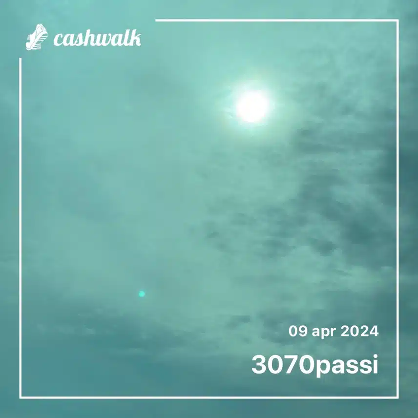1000003304.jpg_resize