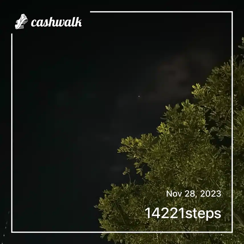 IMG_1150.jpeg_resize