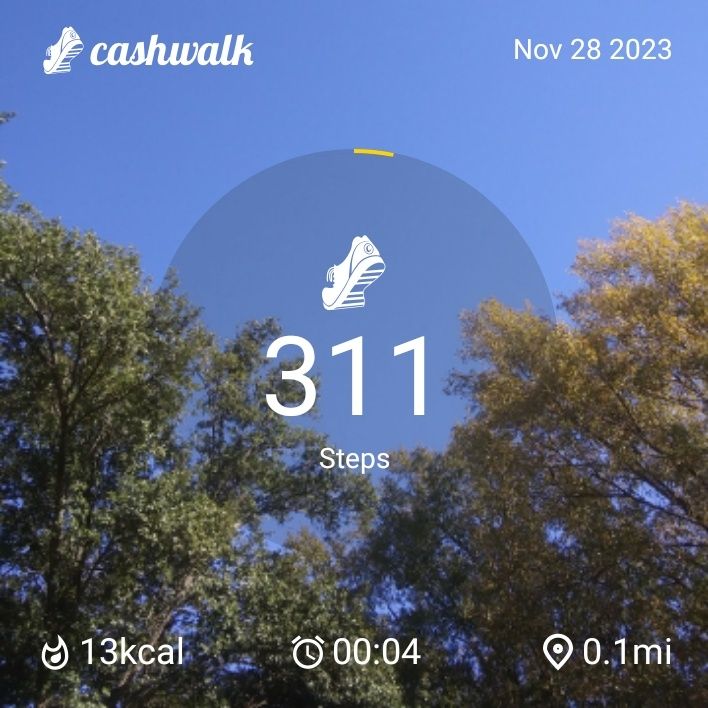 CashWalk_share_capture_20231128_3a48010a-1138-490f-8842-17ca454c