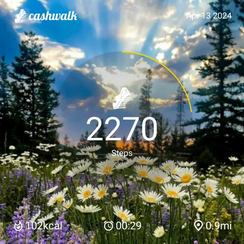 CashWalk_share_capture_20240413_1657d366-2ae4-42c7-a7e2-4b7e372b
